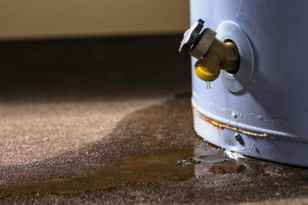 Best Flood restoration services  in Woodside, PA