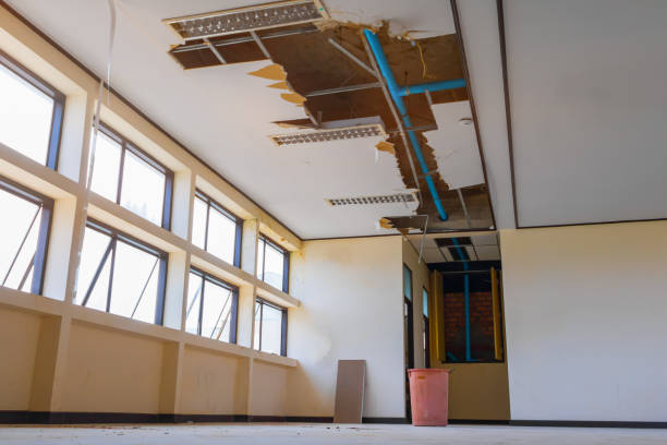 Best Fire Damage Restoration  in Woodside, PA