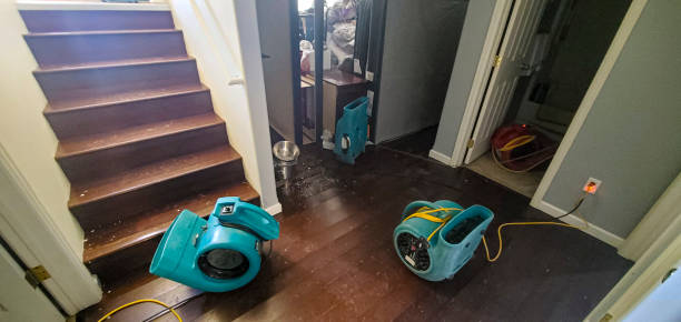  Woodside, PA Water damage restoration Pros