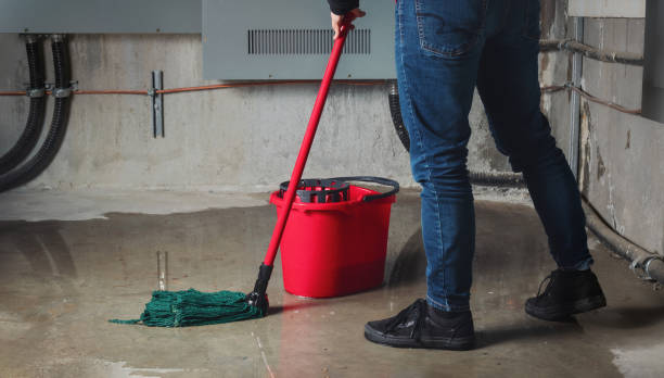 Best Water damage restoration company  in Woodside, PA