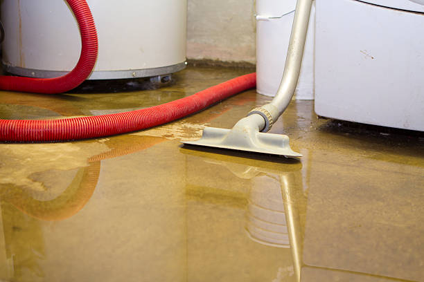 Best Local water damage restoration  in Woodside, PA