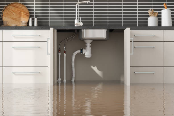 Best Water damage contractors near me  in Woodside, PA