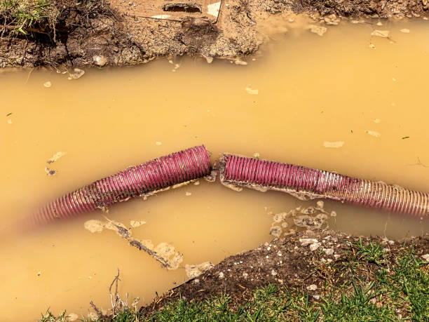 Best Residential water damage restoration  in Woodside, PA