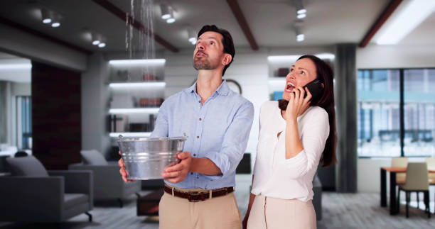 Best Sewage cleanup and water damage restoration  in Woodside, PA