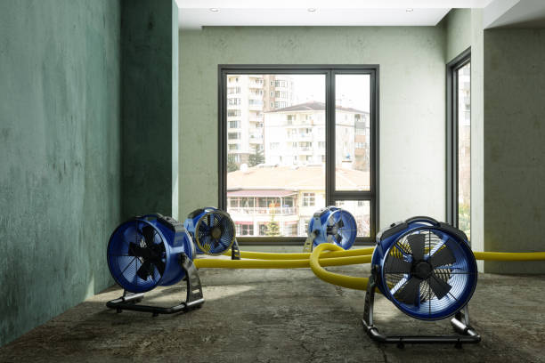 Best Water damage restoration near me  in Woodside, PA