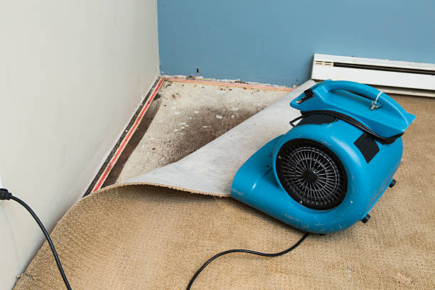 Best Emergency water damage restoration  in Woodside, PA